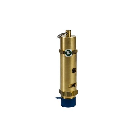 WALTER SURFACE TECHNOLOGIES Safety Relief Valve 53M025
